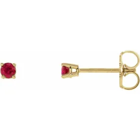 14K Yellow 2.5 mm Natural Ruby Stud Earrings