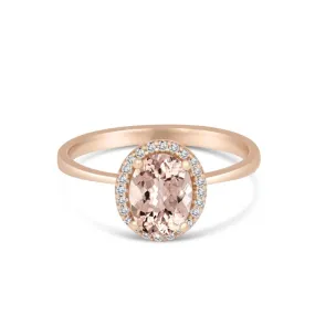 14KP Morganite 24D0.09CT (148DR01521)