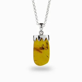 Amber with Insect Necklace