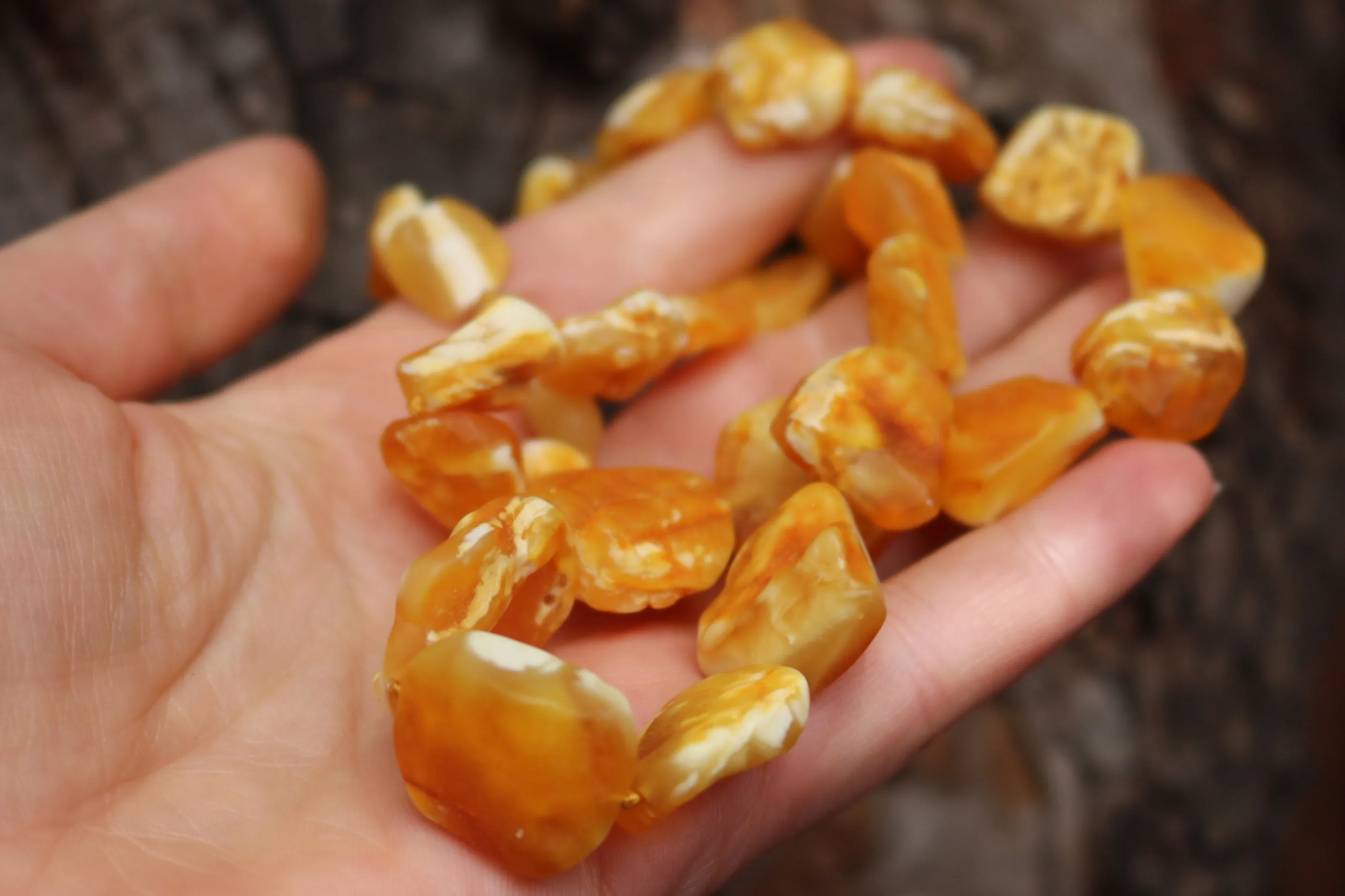 Baltic Amber Raw Butterscotch Necklace Unpolished Natural Untreated Chunky Healing Unisex 19.5″ 31.9 gram