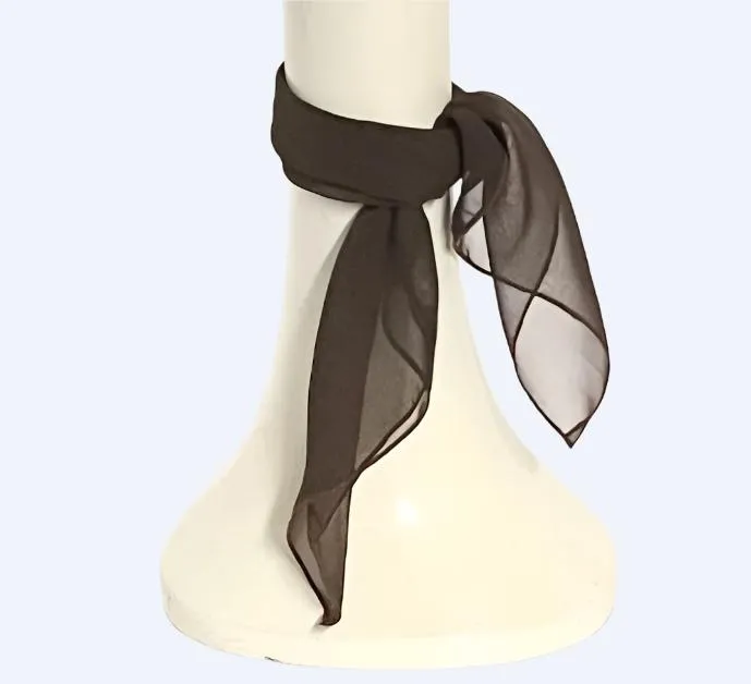 Brown Chiffon Neck Scarf