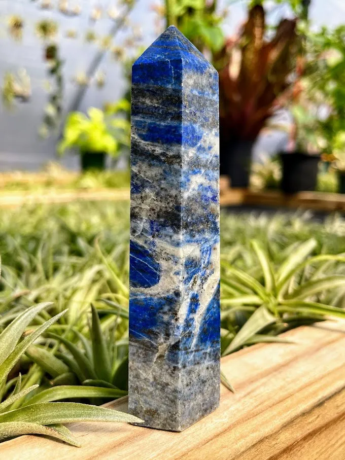 Lapis Lazuli Crystal Point