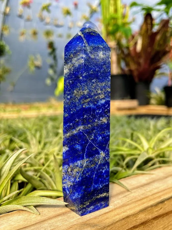 Lapis Lazuli Crystal Point