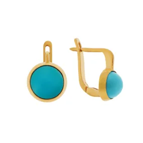 Turquoise Plug Earrings - M